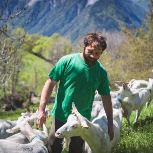 LA CHEVRE'RIE-Producteurs locaux autour de moi-Le Comboire Paysan