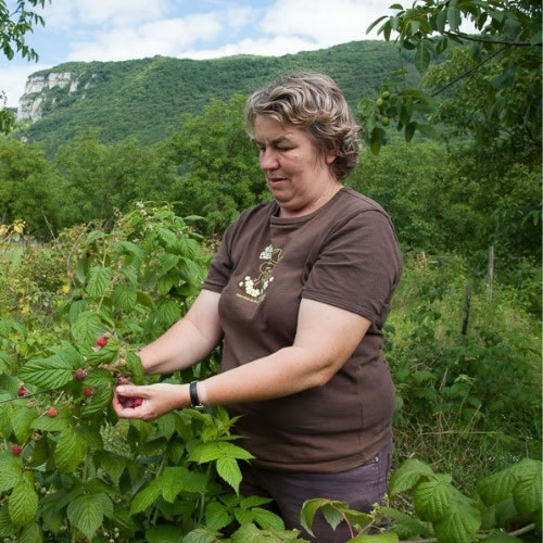 LA FERME DES VILLARDES-Producteurs locaux autour de moi-Le Comboire Paysan